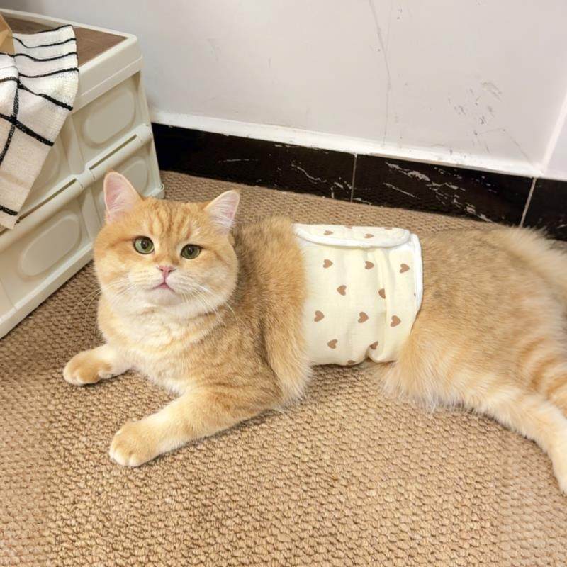 猫咪衣服秋冬纯棉护肚围换季免着凉防拉肚子中大型犬肚兜猫狗通用