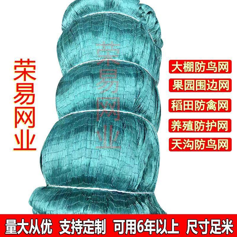 大棚果园防SYU鸟网葡萄棚保网天网护殖稻网绿色防护网养田菜地防