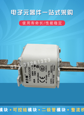 快速熔断器保险丝170M3469 3470 3471 3472 3473 3488 3489 3490