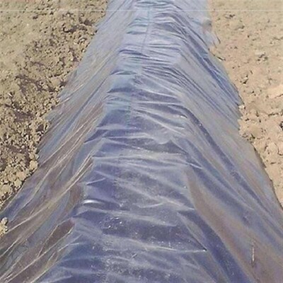新品防水布c防渗膜土p工膜塑料膜加厚透明鱼塘黑色无滴膜地定