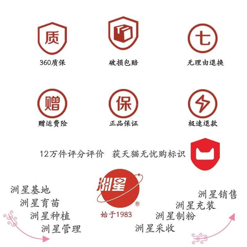 洲星牌纯正马蹄粉材料散装商用家用椰浆千层糕点烘焙纯正钵仔糕粉