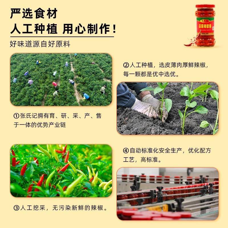 张氏记蒜蓉辣椒酱320g蒜泥酱湖南辣椒酱火锅烧烤酱拌饭拌面剁椒酱