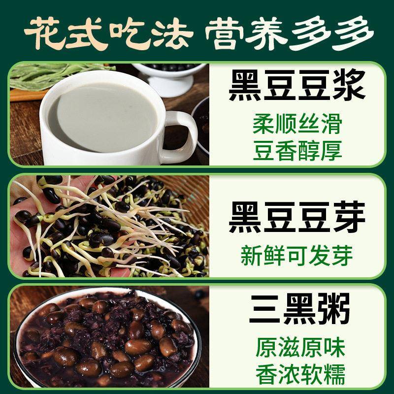 10斤新货绿心黑豆打豆浆农家老品种青仁绿芯黑豆生豆芽可醋泡杂粮