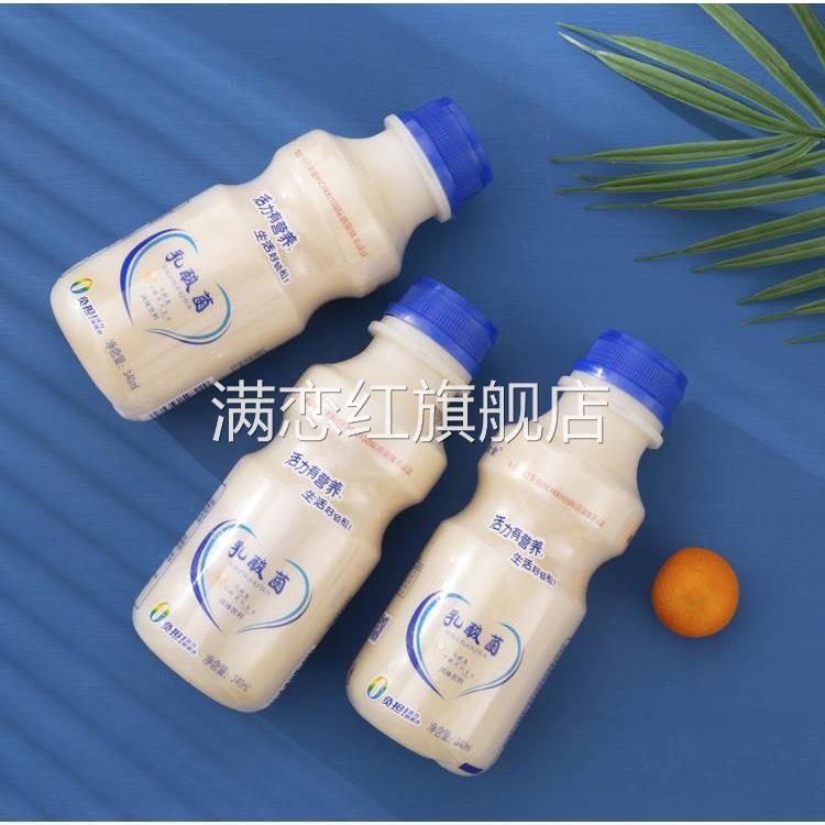 果粒奶昔酸奶饮品酸牛奶饮料早餐脱脂益生菌乳酸菌整箱批特价
