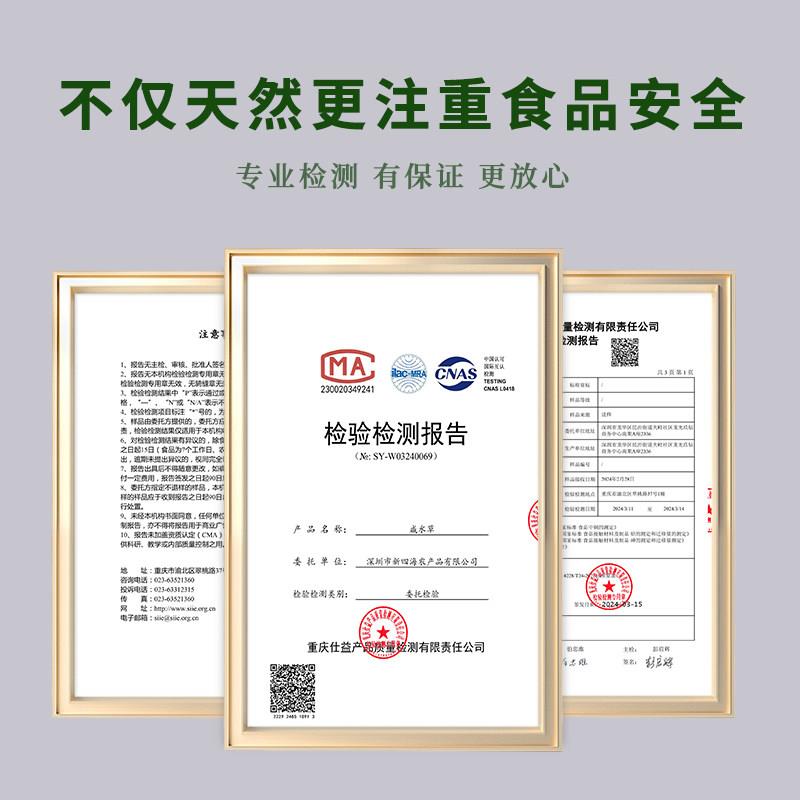 新品扎螃蟹包粽子专用绳子粗细绑线绳绳材料马莲草绳包粽绳咸水草