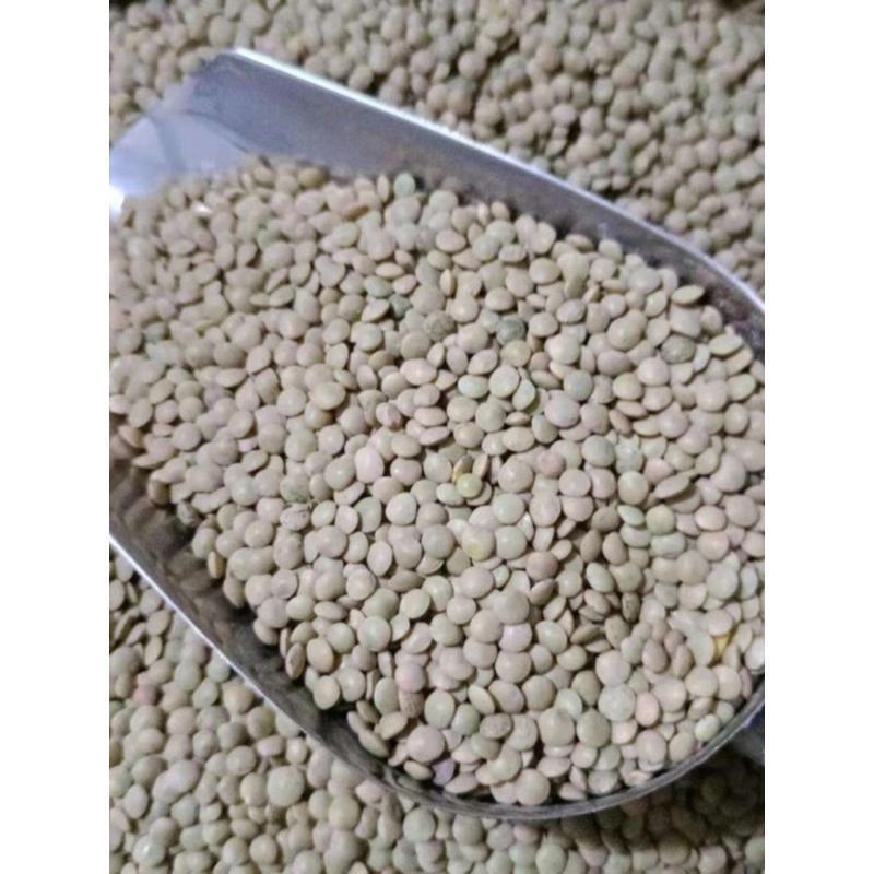 云南昭通特产凉粉金豌豆粉无需过滤炎山小豌豆凉粉专用兵豆粉淀粉