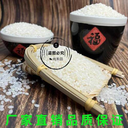 2024年南粳5055大米20斤小包装江苏新米软糯香粳米常州农家米10kg
