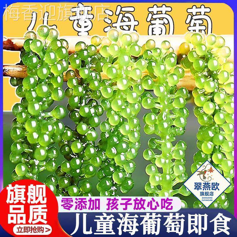 儿童海葡萄即食绿色鱼子酱