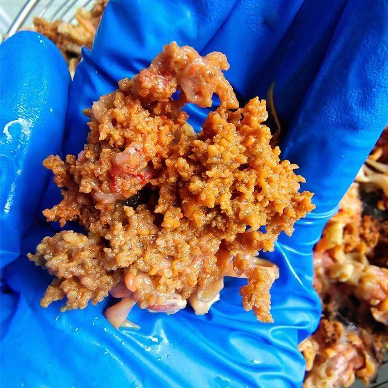 海参花味道鲜美营养丰富价格实惠 海参花即食海参花电商