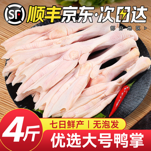 鸭掌鸭爪生鲜鸭脚鸭货鸭掌冷冻批发卤味商用鸭肉新鲜鸭掌生鲜鸭爪