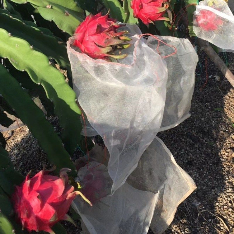 尼龙pe火龙果防虫防蜂针专用黑色S网袋套袋套果袋