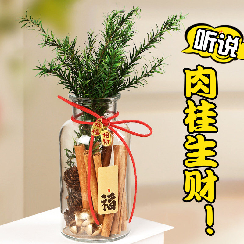 肉桂生财摆件桂皮发财瓶子招财玻璃瓶diy材料办公桌卧室送女友,家居饰品,国学摆件,淘宝优惠券,粉丝福利购,淘宝优惠卷
