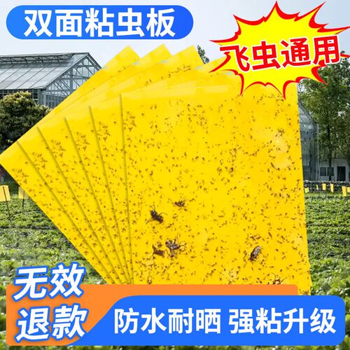 双面粘虫板黄g板优质捕虫板诱虫板捉虫板杀蚜虫粉虱小飞虫黄蓝一
