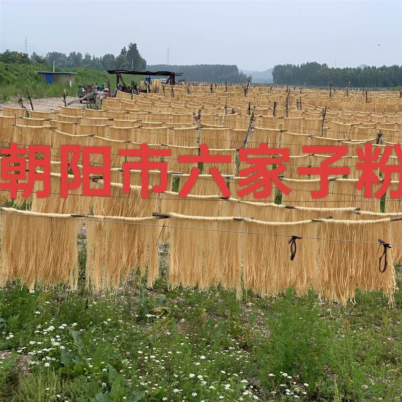【爆单粉条】辽宁朝阳六家