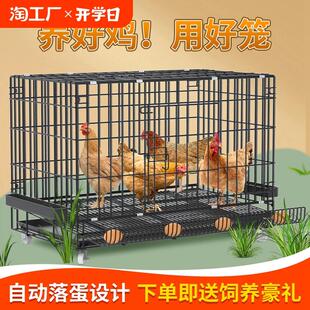 鸡笼子大号特大养殖笼自动清粪鸡舍家用家庭鸡笼多层鸡笼鸭笼狗笼
