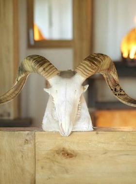 蒙古餐厅装饰木架镶钻羊头骨标本天然真羊头工艺品牛羊头挂饰摆件