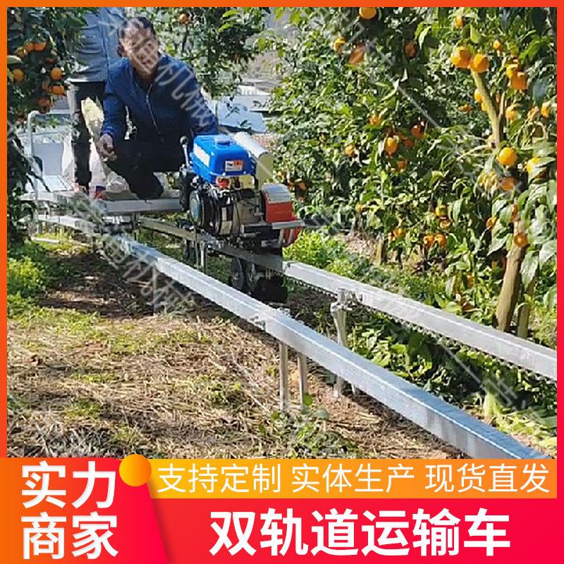 果园轨道搬运车自走式 汽油小型电动货物装载山地农用单轨运输车