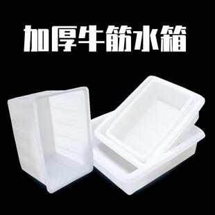 19EK加厚牛筋水箱塑料桶长方形大容量养鱼卖鱼养殖水箱家用储水桶