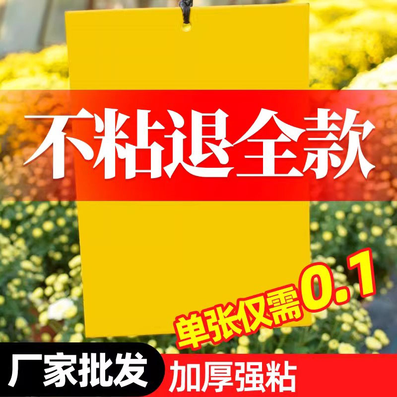 粘虫板黄板双面小飞虫灭杀神器