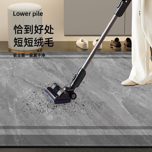 简约现代耐脏门垫进门脚垫家用大门地垫入户门垫加厚防滑门前垫子