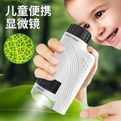 学生便携实验显微镜观察标本昆虫