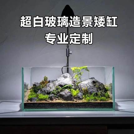 定制超白金晶五线玻璃矮方缸鱼缸浅水缸摄影草缸室内造景溪流缸