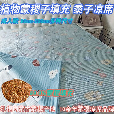 志成多维成人儿童蒙稷凉席黍子颗粒床垫A类婴幼儿幼童凉爽透气