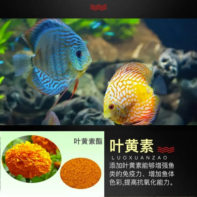 鱼粮仿红虫鱼饲料迷你鹦鹉神仙鱼燕鱼三湖慈鲷鱼食热带鱼金鱼锦鲤