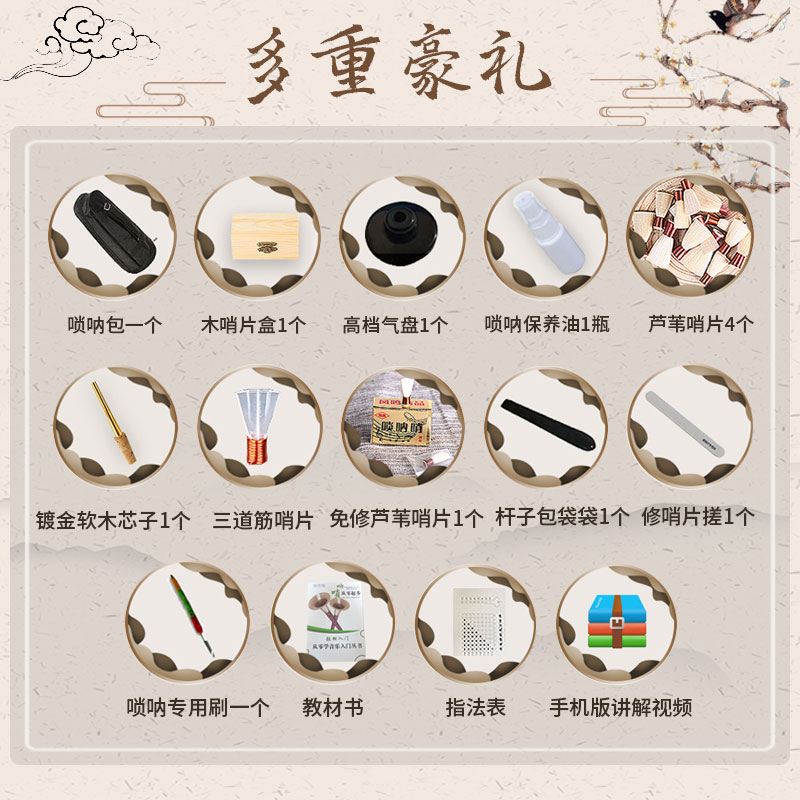 王家彪唢呐乐器全套专业民族乐器喇叭初学者小号专业唢呐演奏服务