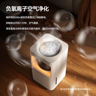 大宇加湿器家用轻音静卧室孕妇婴儿母婴冷蒸发无雾除菌大容量J20