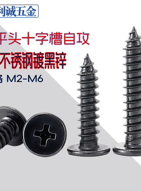 黑色304不锈钢十字槽扁平头自攻螺丝CA镀黑锌大平头螺钉M23m4m5m6