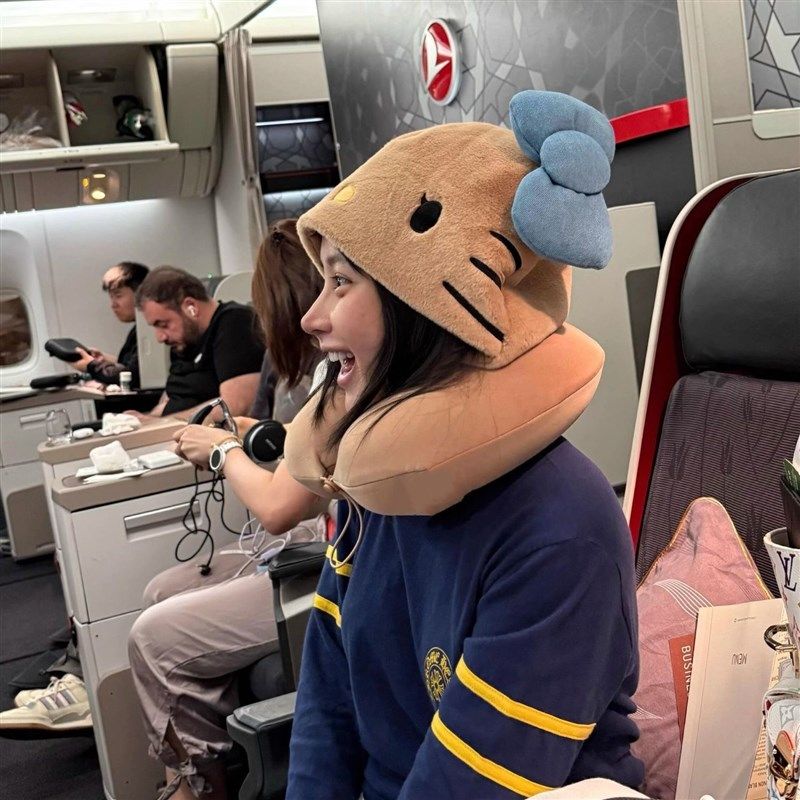 高颜值可爱小猫卡通午睡飞机护颈旅行坐车便携办公室连帽帽子枕头,床上用品,U型枕/便携枕,淘宝优惠券,粉丝福利购,淘宝优惠卷