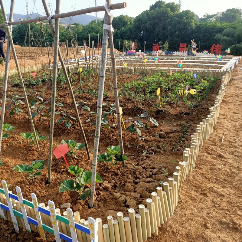 防腐竹子矮围栏篱笆栅栏护栏花园菜园庭院阳台竹排隔断竹桩