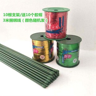 实心铁丝包塑花杆凤尾竹支架金钱树盆栽绣球扶正支撑棍花盆插杆