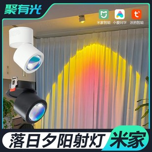 已接入米家日不落智能嵌入式明装射灯涂鸦玄关背景小山丘夕阳氛围
