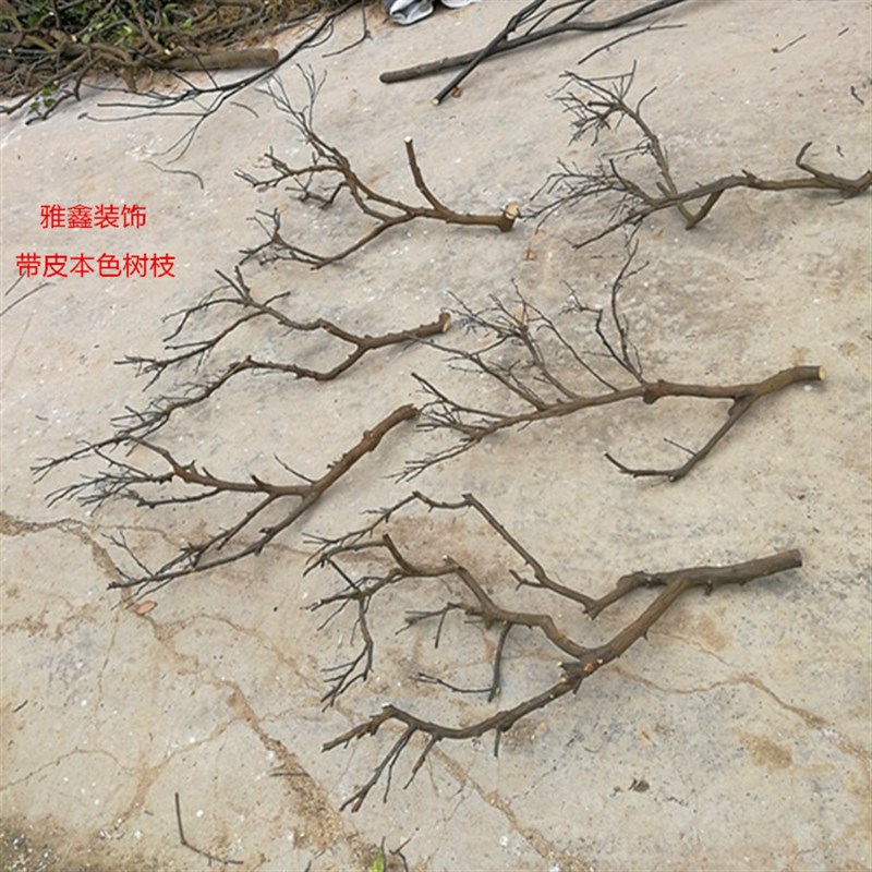 干树枝去皮原木树l干枯树枝带分枝带杈树枝室内挂灯干花插花瓶装