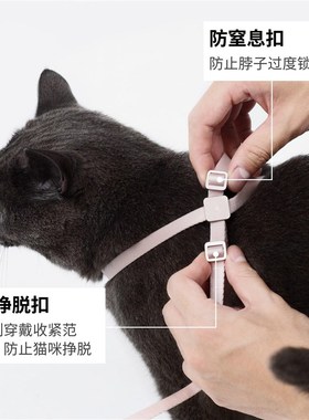BuddyArmor超轻牵引绳防挣脱胸背带套装宠物外出手腰牵舒适遛猫绳