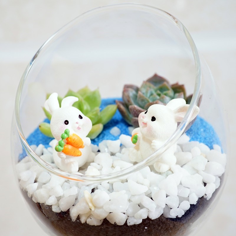 桌面苔藓微景观小花盆栽鲜活植物生态玻璃瓶DIY材料包