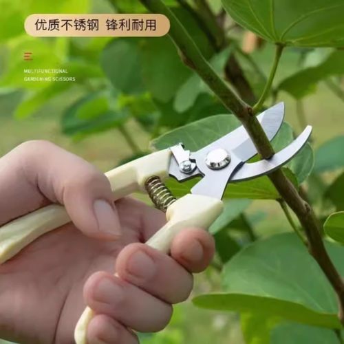 不锈钢园艺修枝剪果树花木嫁接