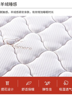 天然乳胶床垫家用3E环保棕1.5米1.8独立袋装弹簧硬垫软垫床垫厂家