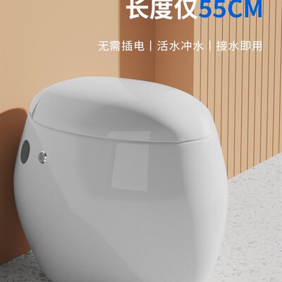 超短小尺寸55长创意鸡蛋形无水箱脉冲坐便器小户型卫生间专用马桶