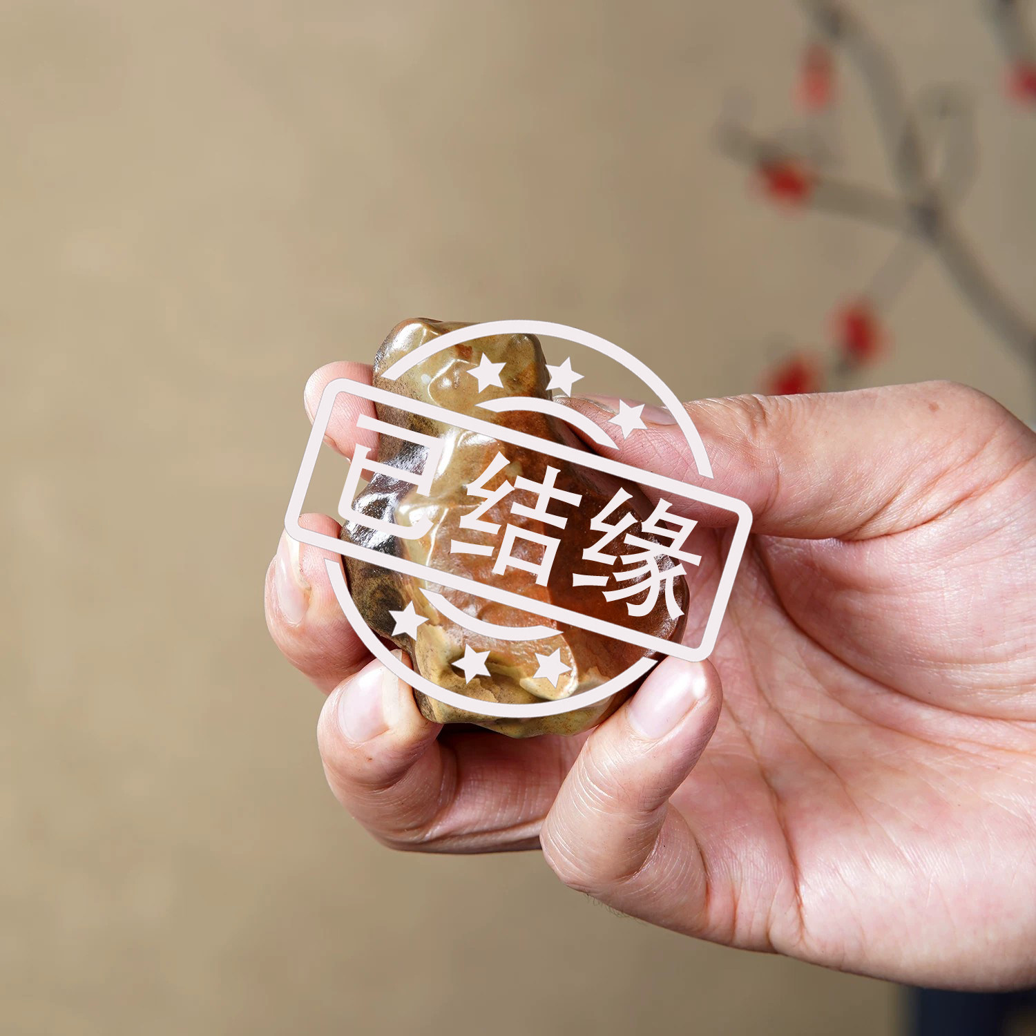 顶爷天然原石奇石【小神龟】戈壁石沙漠漆收藏镇宅观赏把玩摆件