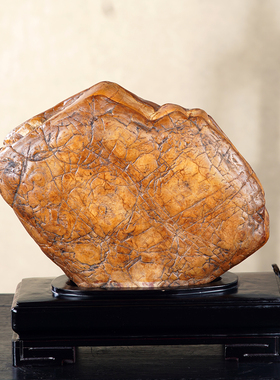 顶爷奇石原石靠山收藏大化石摆件