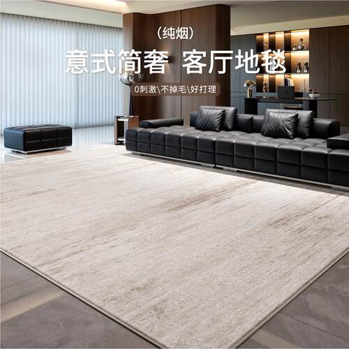 地毯客厅意式现代轻奢耐脏易打理卧室床边毯家用沙发隔音地垫定制