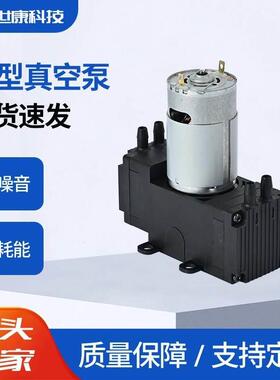 2AP40-4微型隔膜电动静音大负压直流电动真空抽打两用小型555气泵