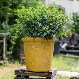 树脂花盆加厚耐用大号家用花盆户外庭院阳台种植非陶瓷绿植盆栽盆