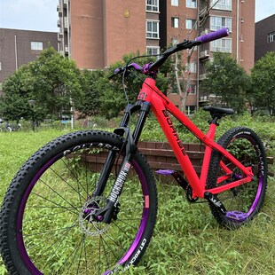 BOARSE博睿思博瑞思组装整车 山地车 26 27.5轮径 硬尾博拉德轮组
