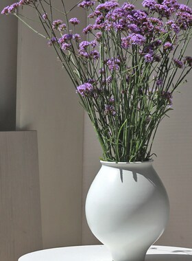 白色陶瓷花瓶大号现代简约客厅插花装饰民宿样板间月亮瓶高级摆件