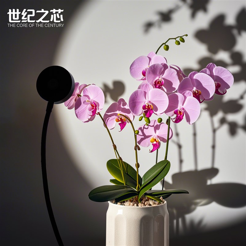 蝴蝶兰花卉专用室内生长灯全光谱夹子款模拟太阳光月季Z植物补光