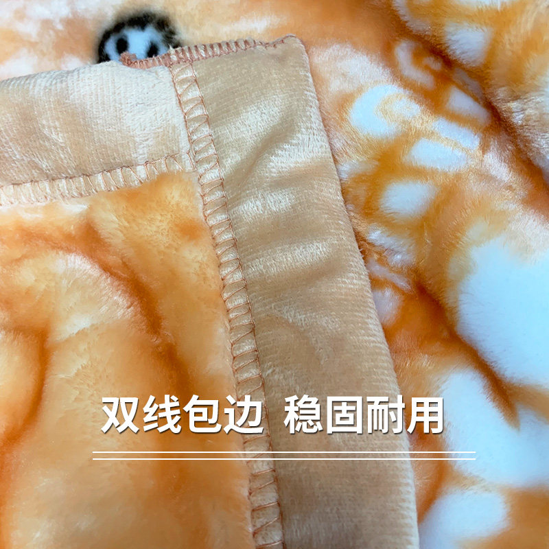 儿童毛毯云毯双层加厚秋冬季双面幼儿园午睡空调盖毯婴儿卡通被子